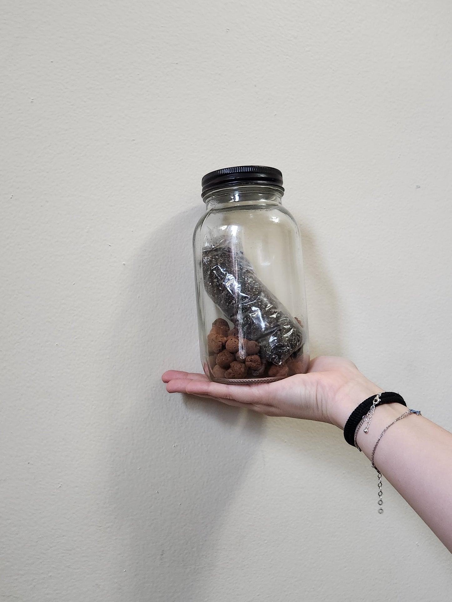 Terrarium kit
