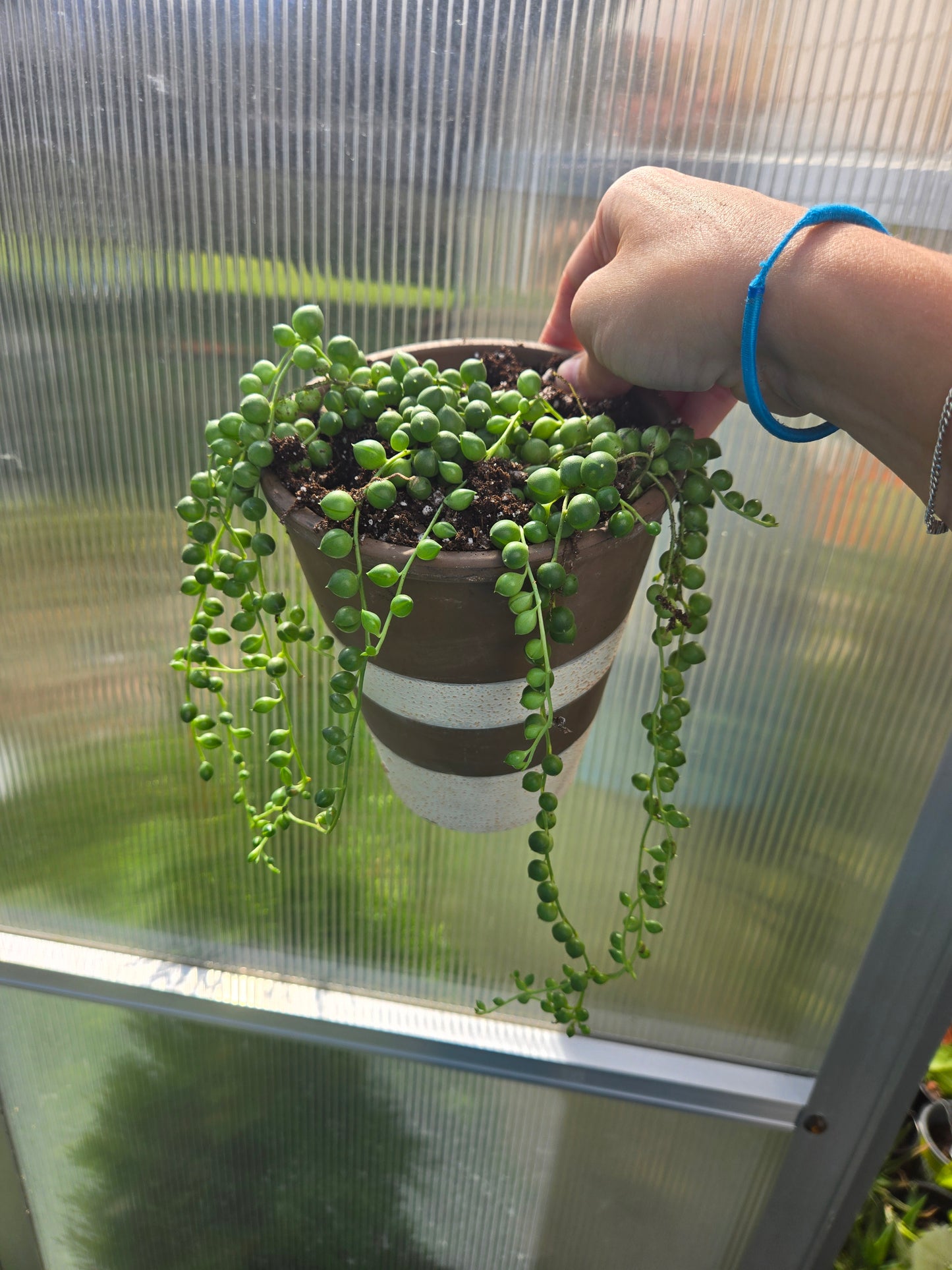 String of pearls
