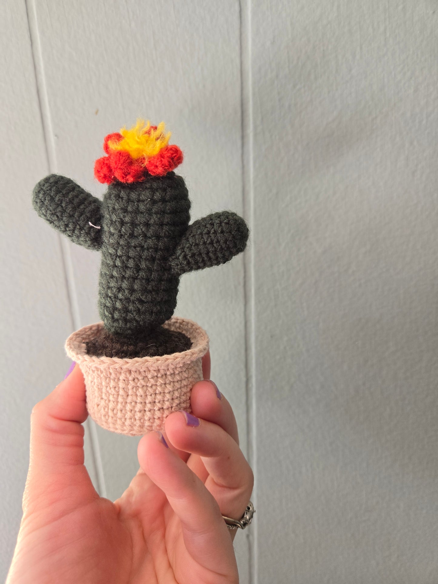 Cactus