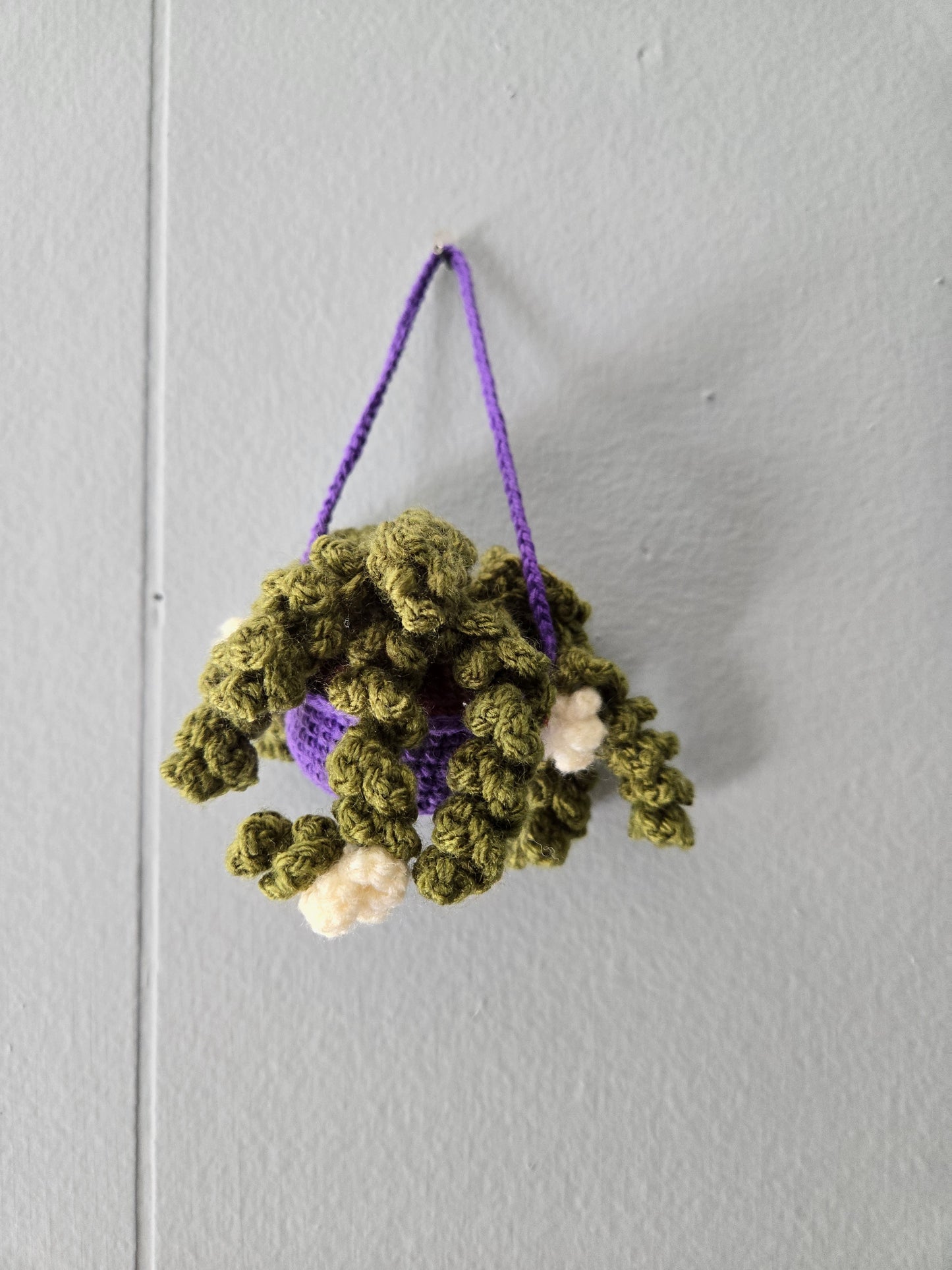 Hanging plant