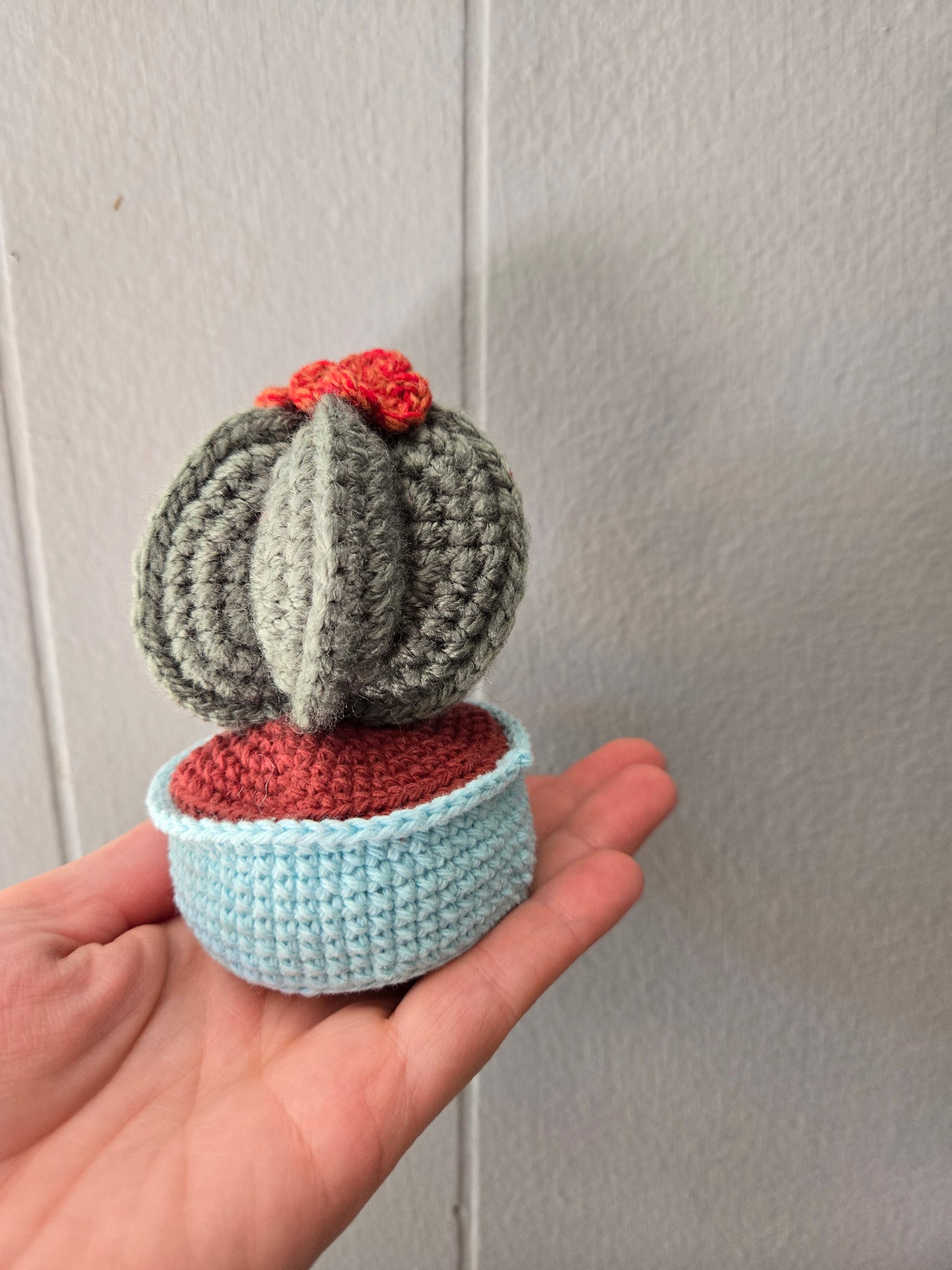 Cactus