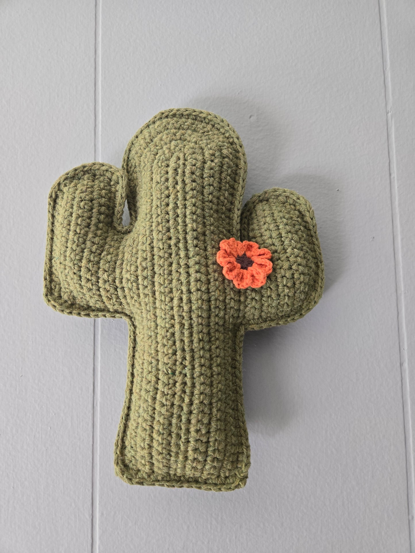Cactus