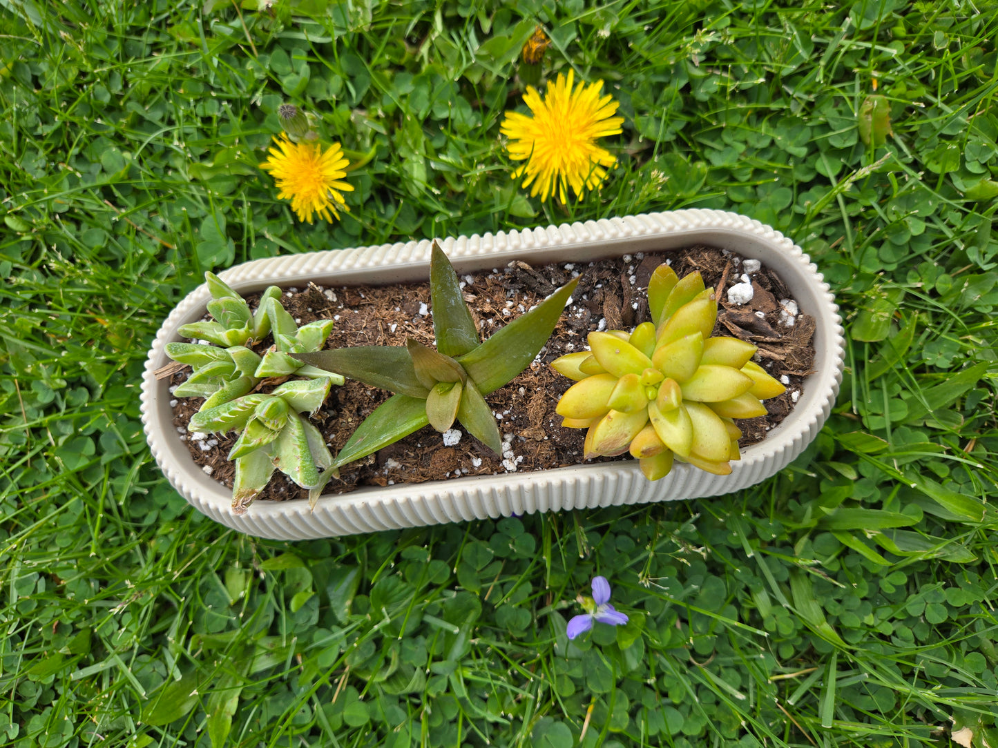 Mother's Day Arrangements