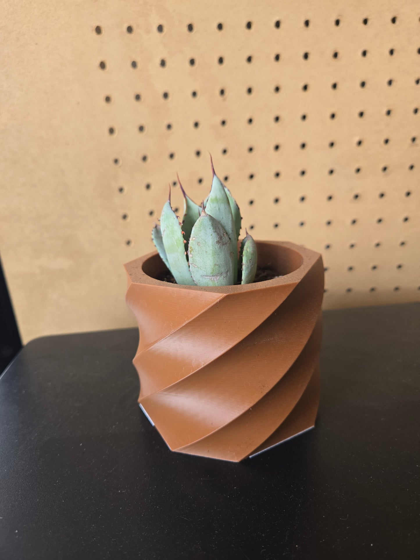 Artichoke agave