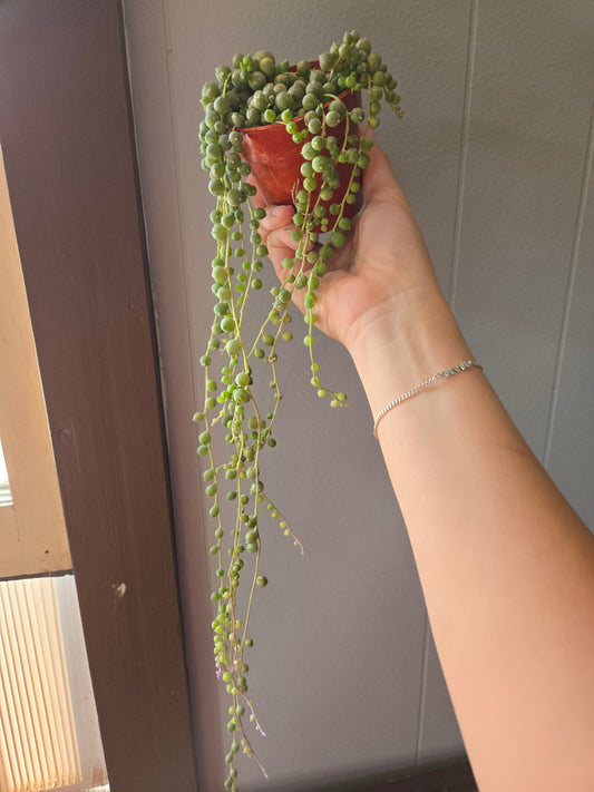 String of pearls