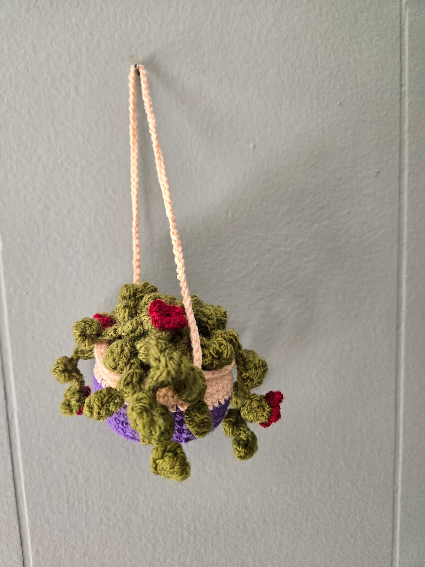Hanging plant